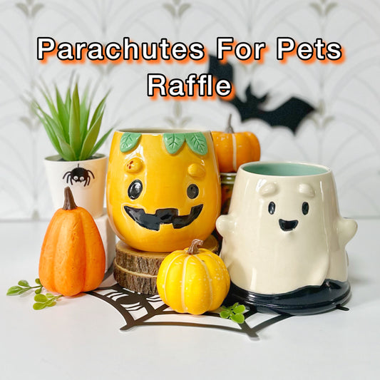 Raffle in Support of Parachutes For Pets