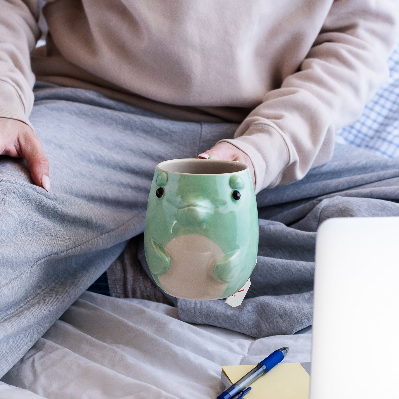 Dolphin Mug
