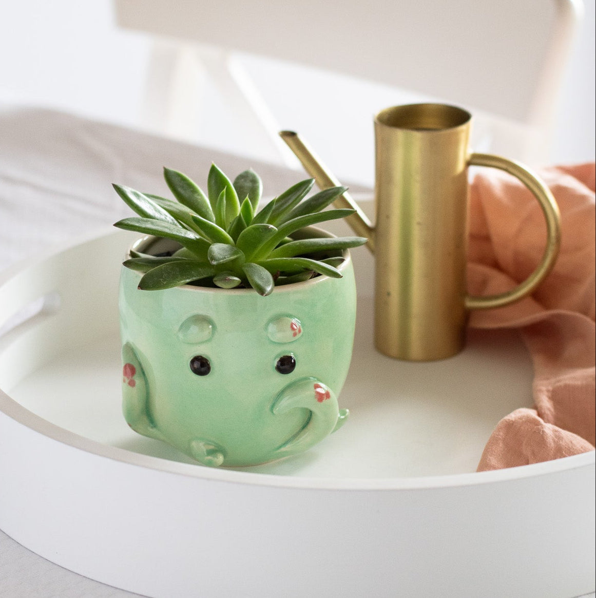 Octopus Planter/Bowl