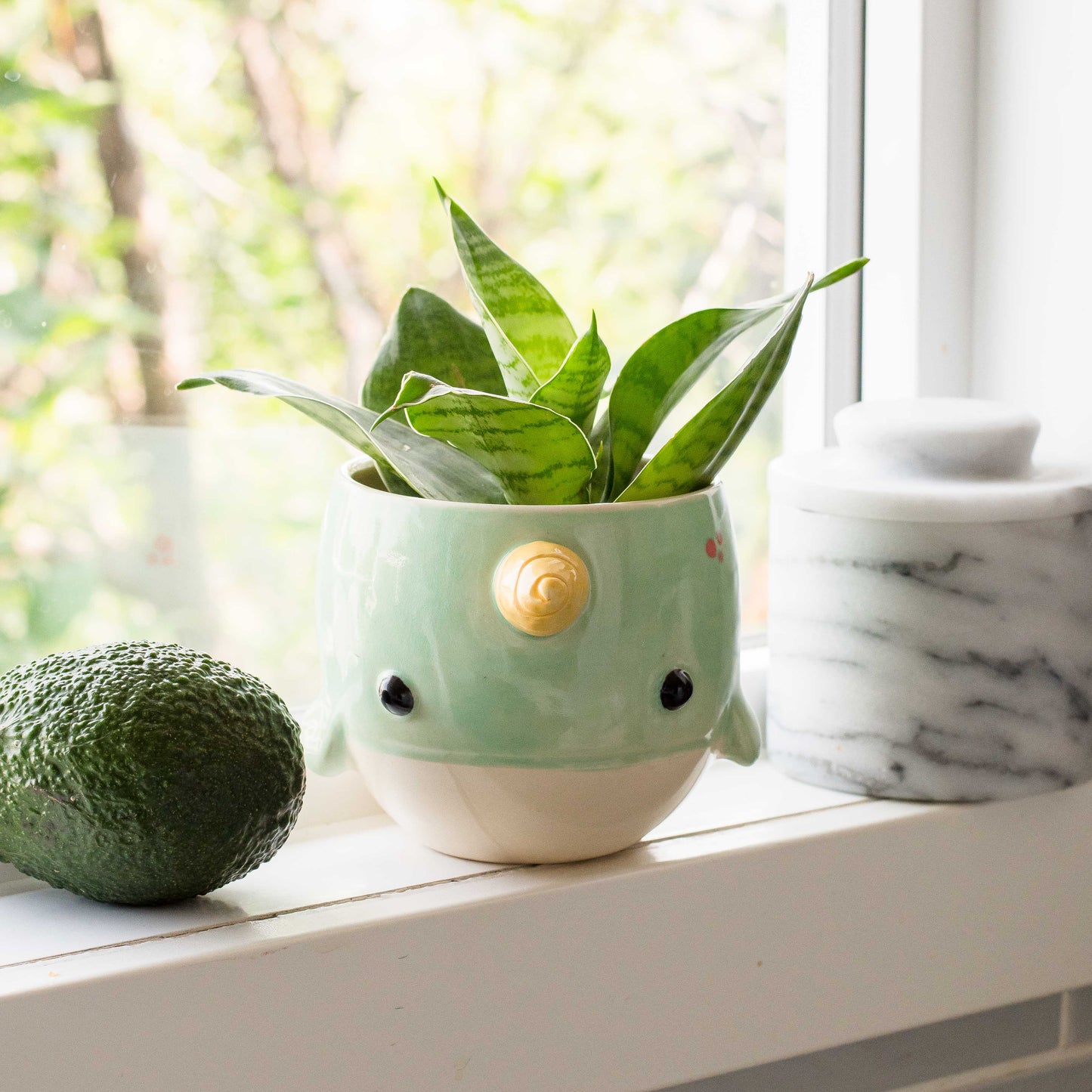 Narwhal Planter/Bowl