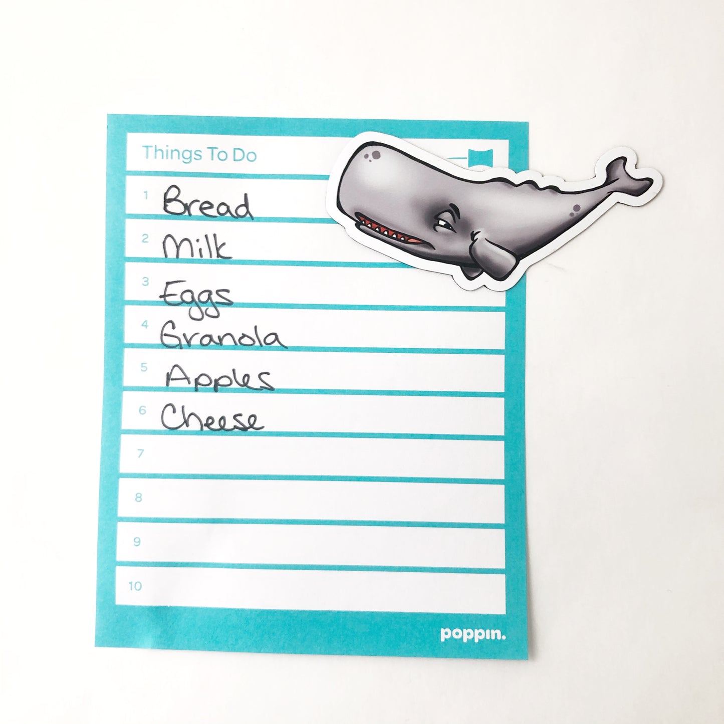 Grey Whale Magnet