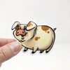 Shropshire Pig Die Cut Sticker
