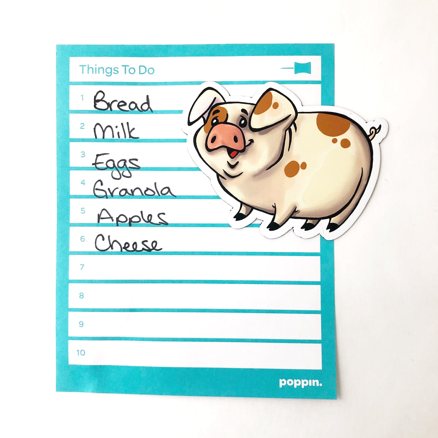 Shropshire Pig Magnet