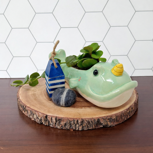 SECONDS Large Narwhal Planter