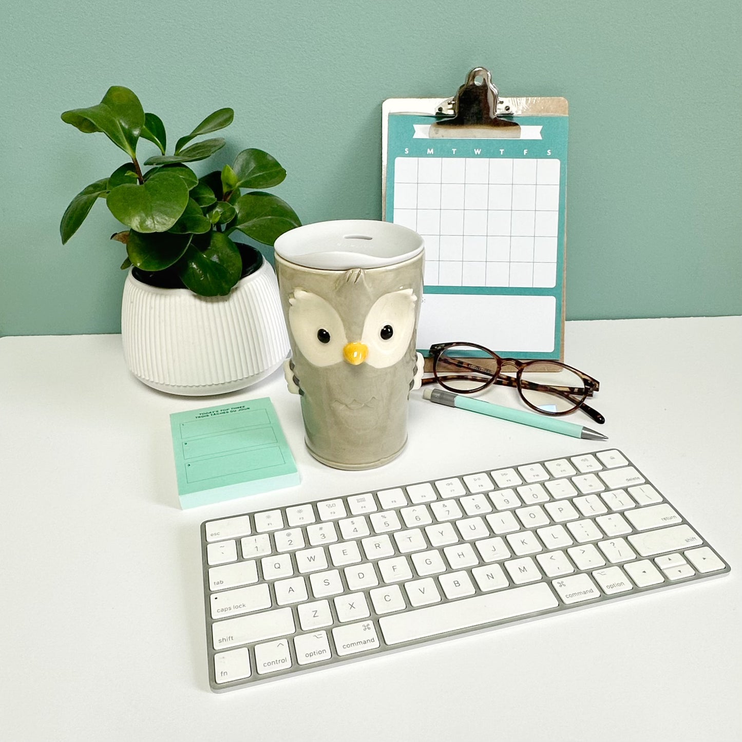 Owl Travel Mug