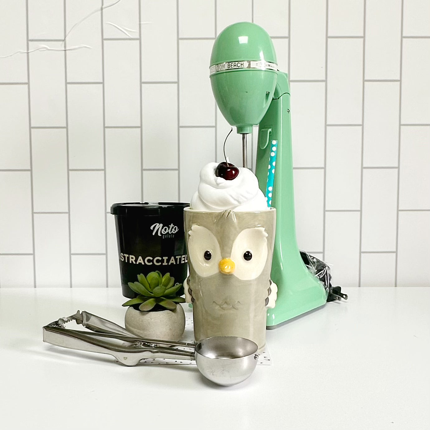 Owl Tumbler (No Lid)