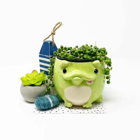 Frog Planter/Bowl