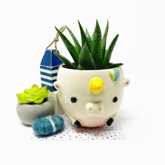 Unicorn Planter/Bowl
