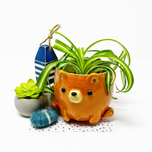 Bear Planter/Bowl
