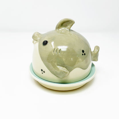 Shark Butter Dish