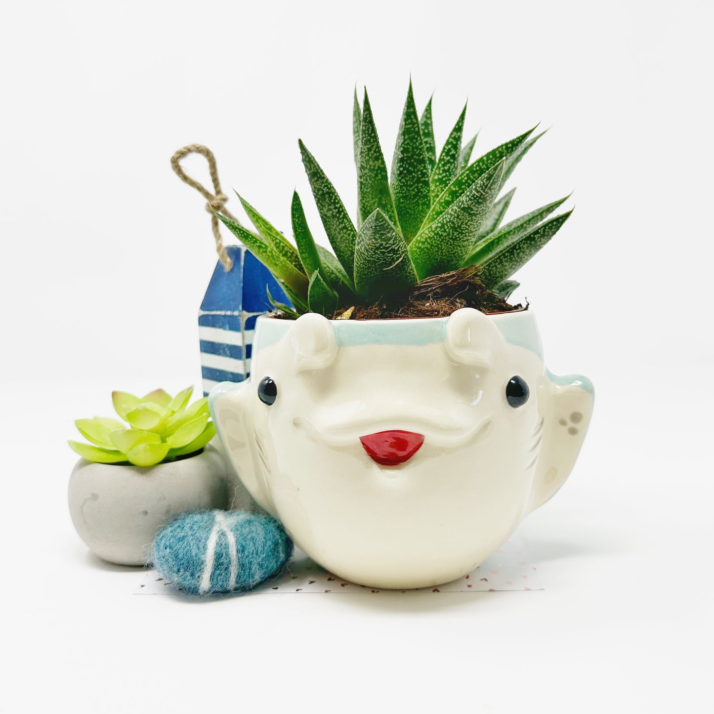 Manta Ray Planter/Bowl