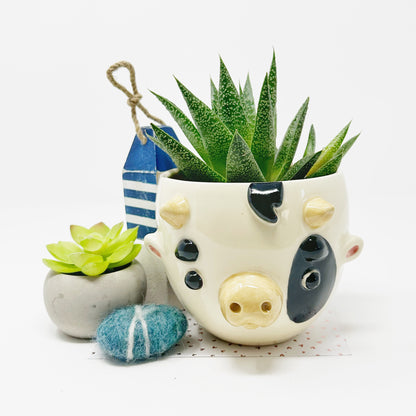 Dairy Cow Planter/Bowl