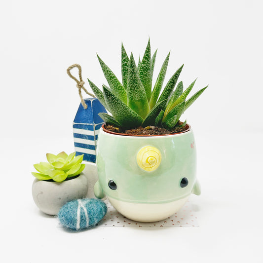 Narwhal Planter/Bowl