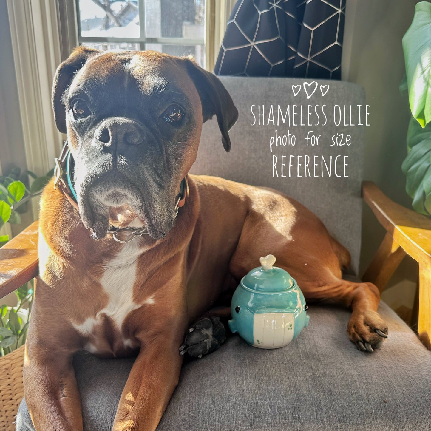 Raffle in Support of Helping Families Handle Cancer