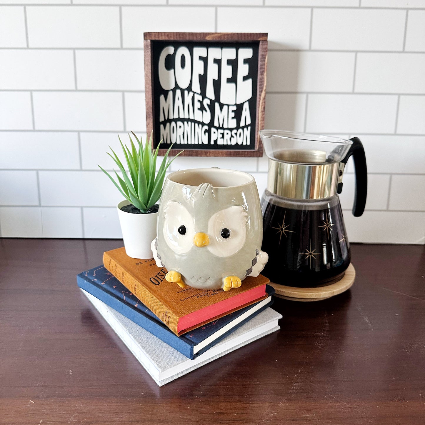 Owl  Mug