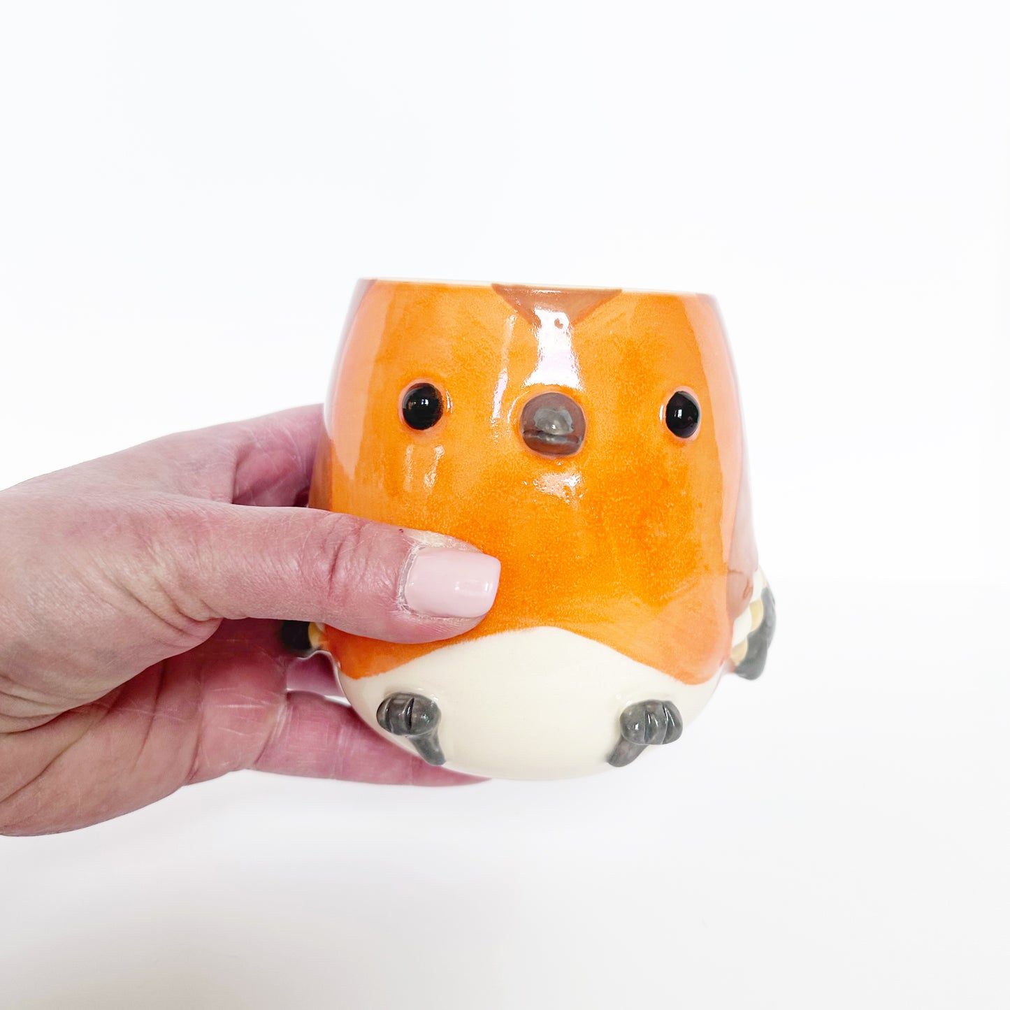 Robin Mug