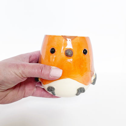 Robin Mug