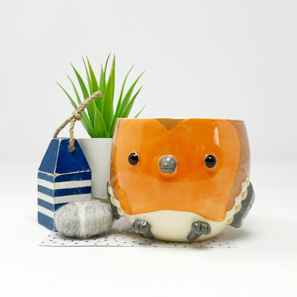 Robin Planter/Bowl