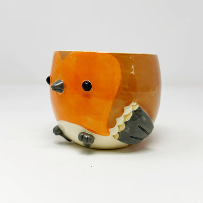 Robin Planter/Bowl