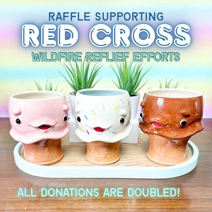 Wildfire Relief Raffle