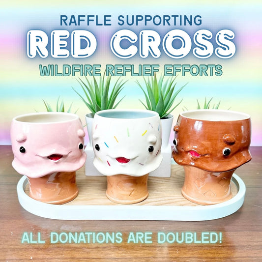 Wildfire Relief Raffle