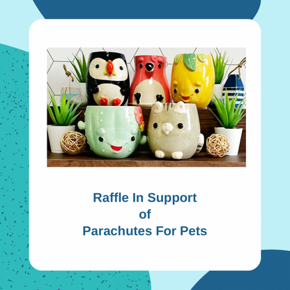 Raffle in Support of Parachutes For Pets