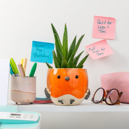 Sculpted robin planter on a desk setup with office supplies including a plant, pens, glasses, and a pink pouch.
