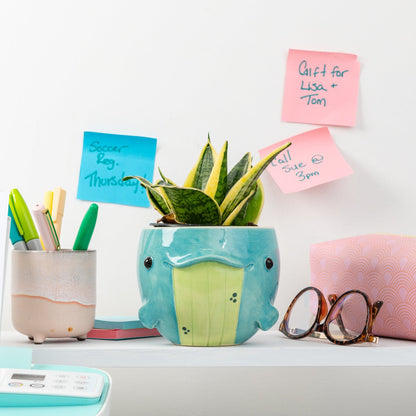Sculpted whale planter on a desk with stationary supplies