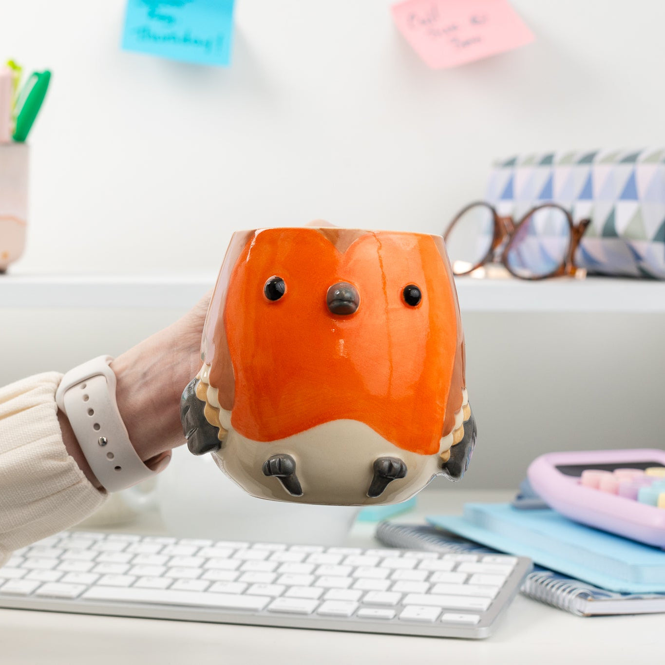 Robin Mug