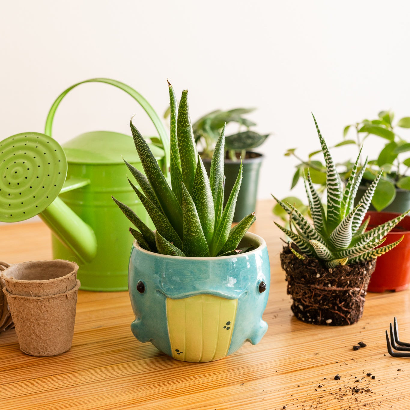 Sculpted whale planter on wooden surface with plants and tools
