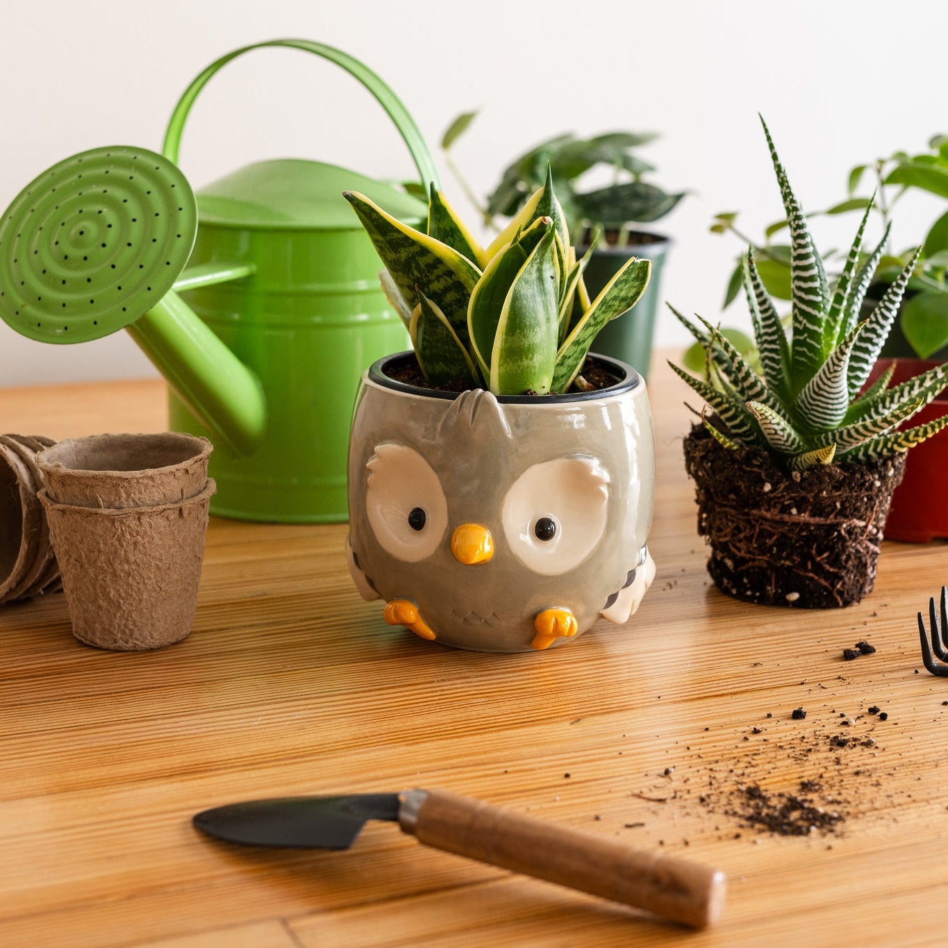 Sculpted owl planter with potted plants on a wooden table with gardening tools