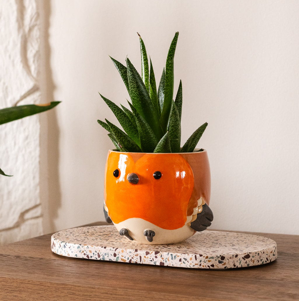 Sculpted robin planter with a succulent on a wooden surface.