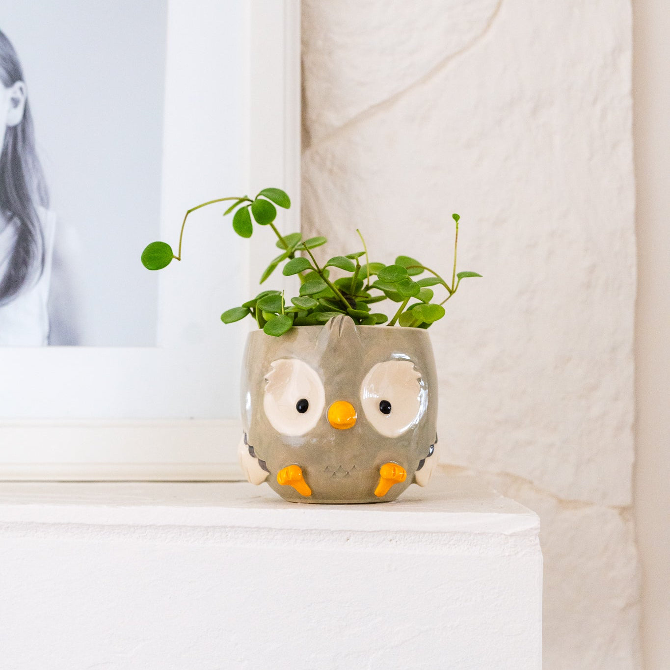Owl Planter/Bowl