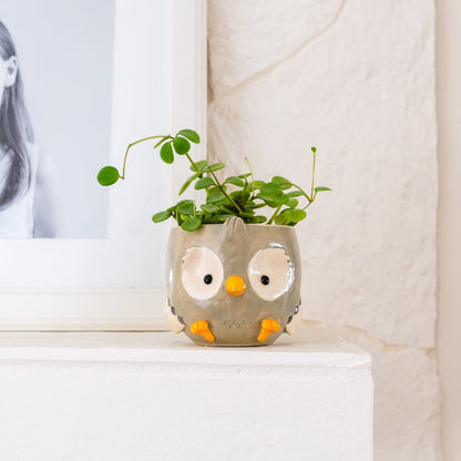 Owl Planter/Bowl