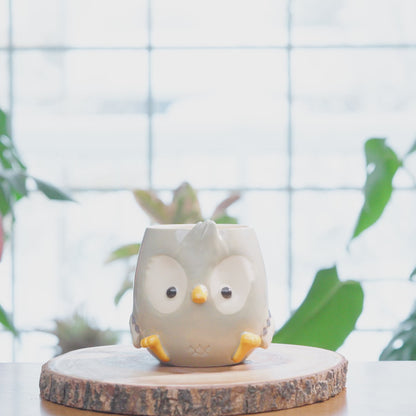 Owl  Mug