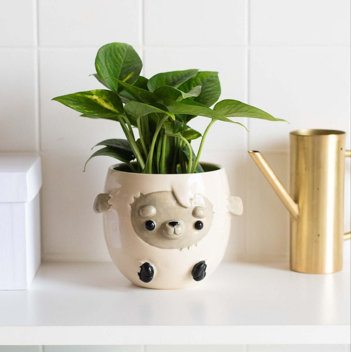 Sheep Planter/Bowl