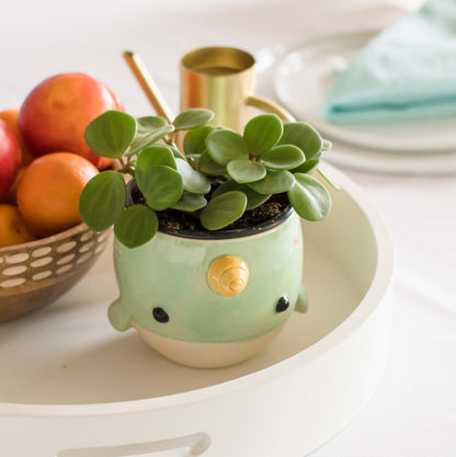 Narwhal Planter/Bowl