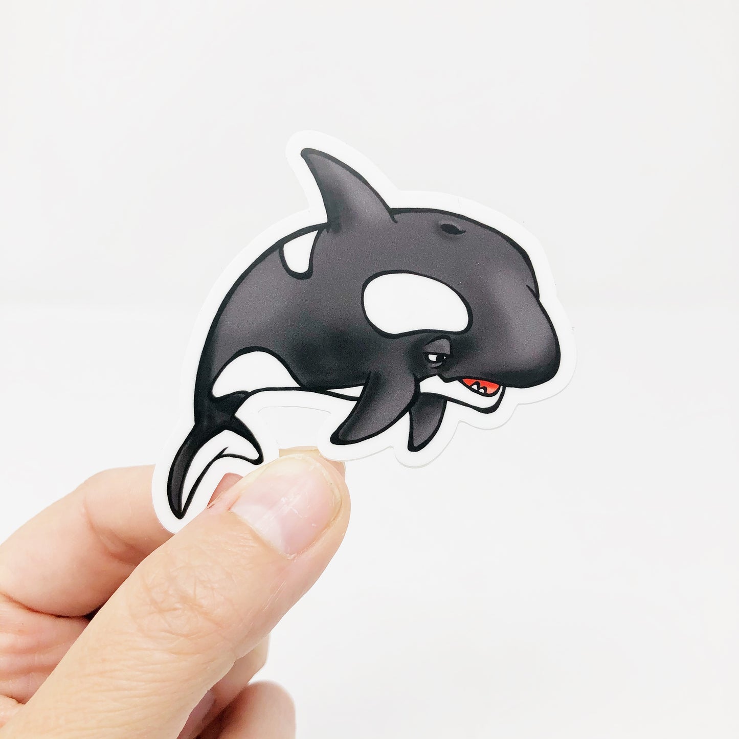 Orca Whale Magnet