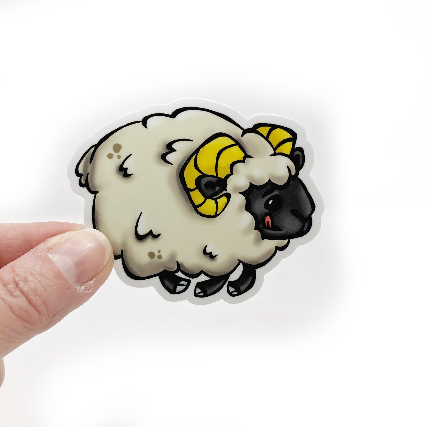 Sheep Magnet